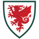 Wales matchtröja